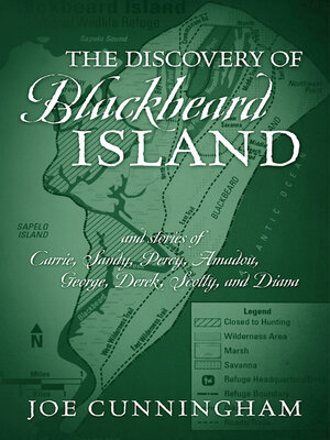 cover image of The Discovery of Blackbeard Island, and stories of Carrie, Sandy, Percy, Amadou, George, Derek, Scotty, and Diana